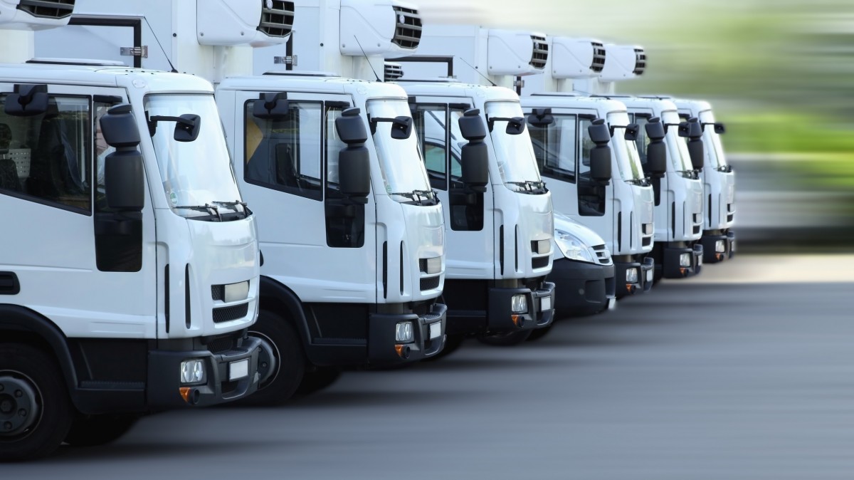 FLEET vehicles lined up for service